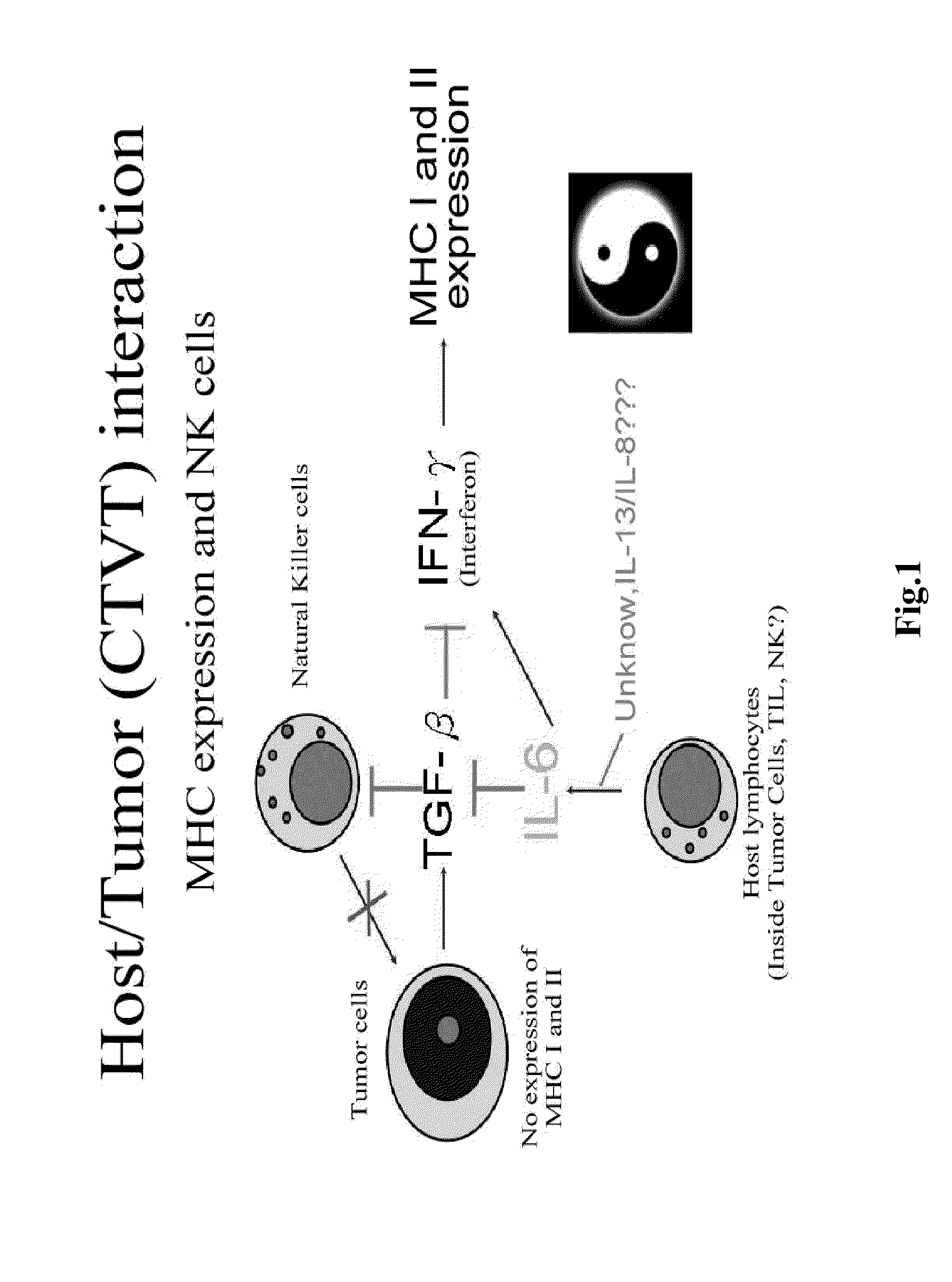 Canine tumor cell and allogeneic dendritic cell fused vaccine and method for preparing the same