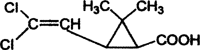 Process of inductive crystallization for preparing enriched trans-racemic dichloro-chrysanthemic acid