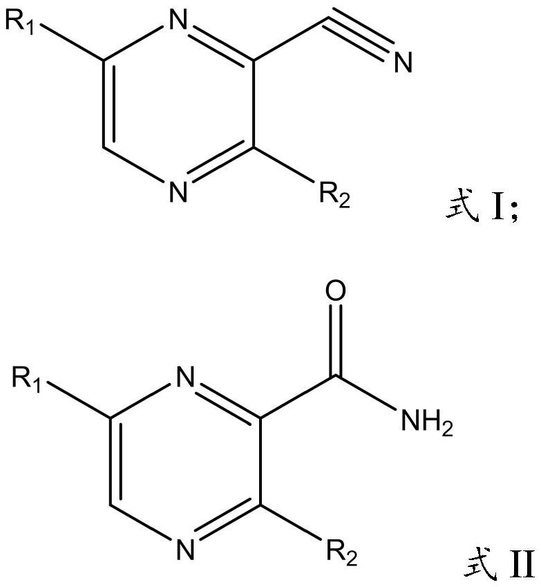 Application of nitrile hydratase in catalyzing hydration reaction of cyanopyrazine compound to generate amide pyrazine compound