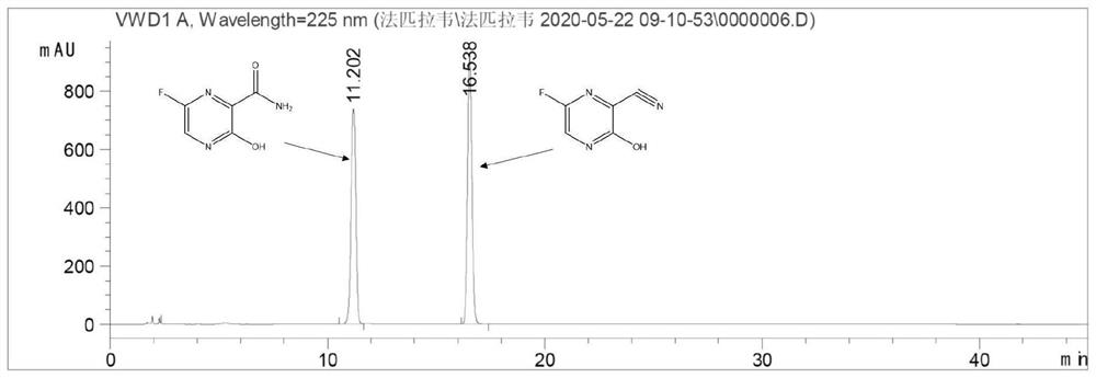 Application of nitrile hydratase in catalyzing hydration reaction of cyanopyrazine compound to generate amide pyrazine compound