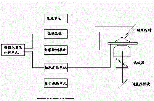 Unicell detector based on nano fiber probe and its probe manufacturing method