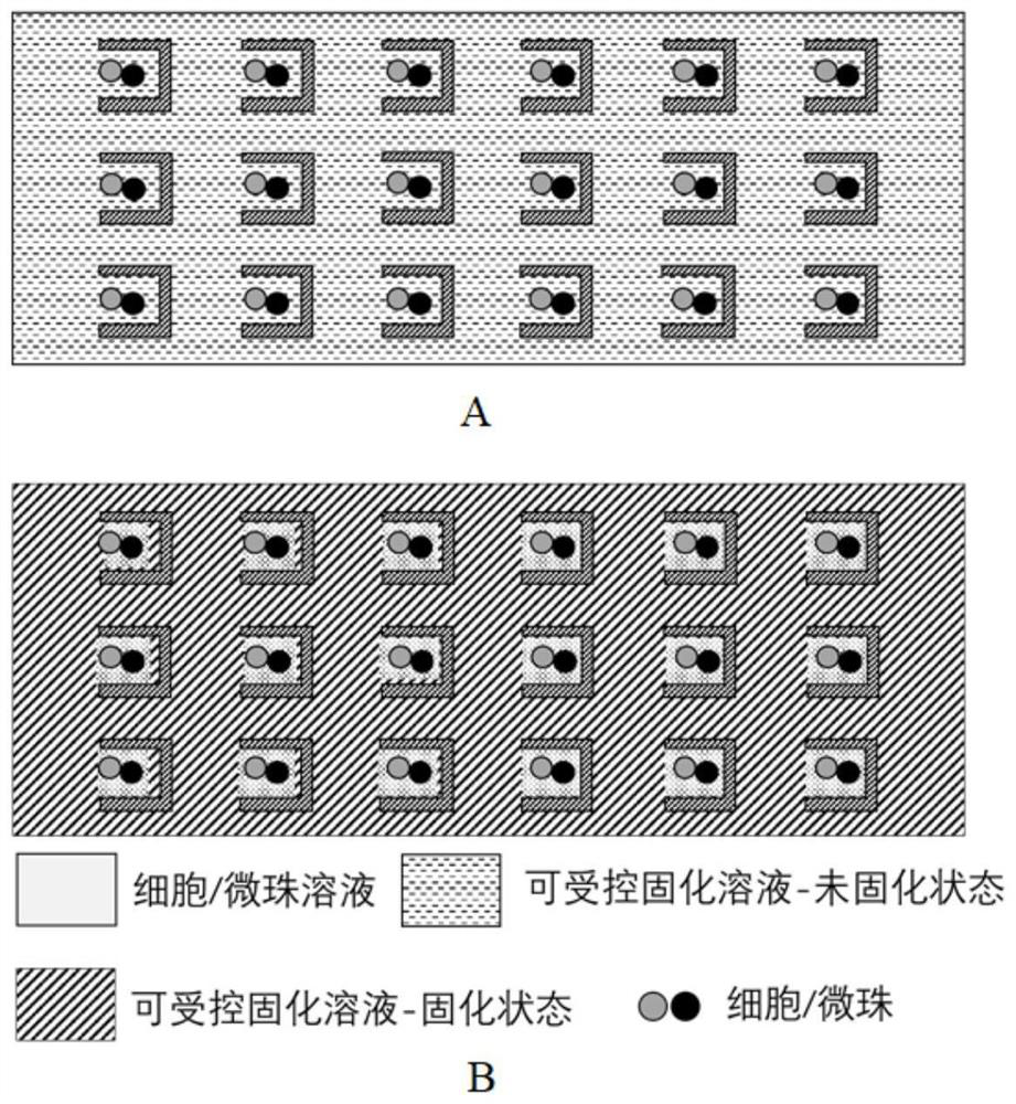 Cell-microbead pairing capture method applied to unicellular omics analysis