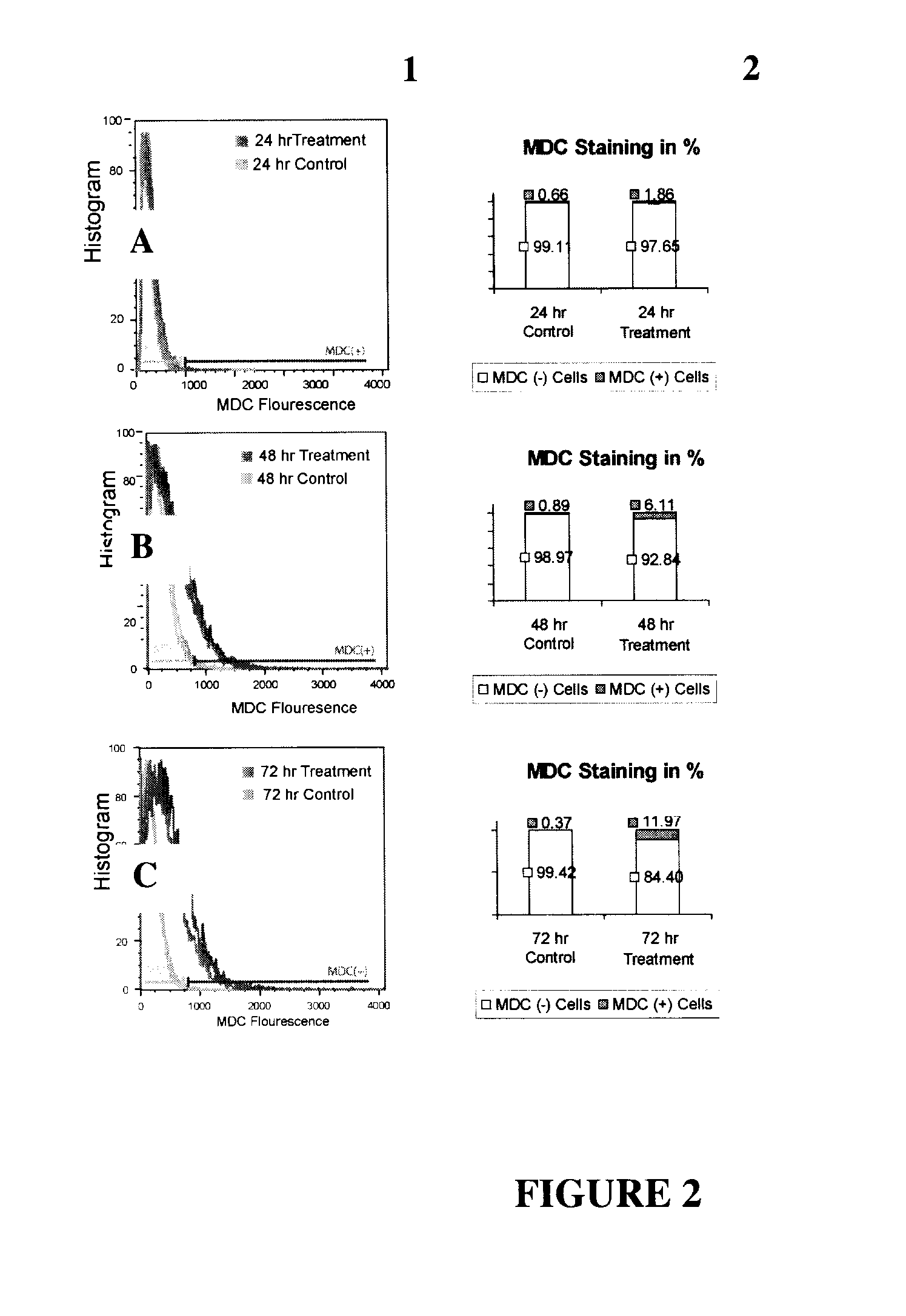 Inhibition of autophagy genes in cancer chemotherapy