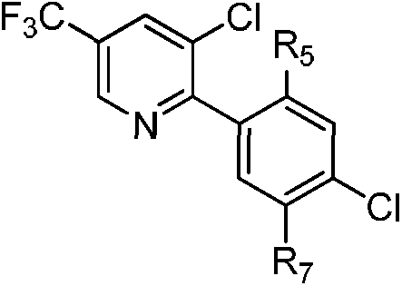 Substituted biaryl benzenesulfonamide compound and use