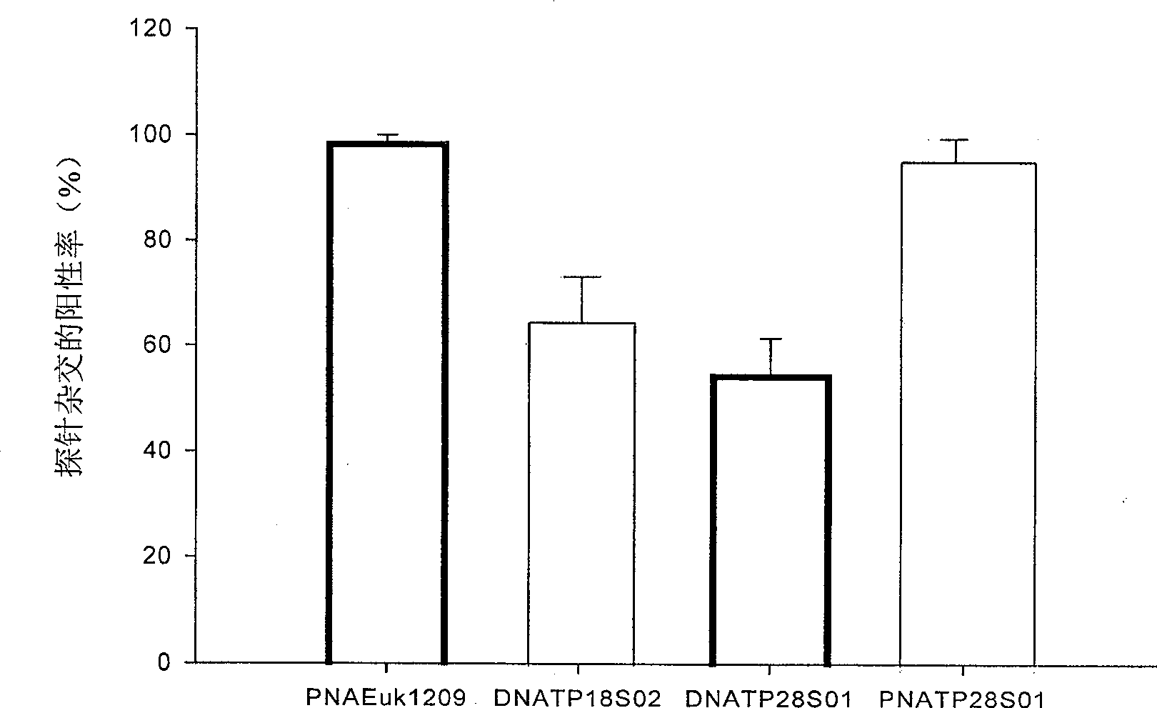 PNA probe for detecting red tide organism Takayama pulchellum and its uses