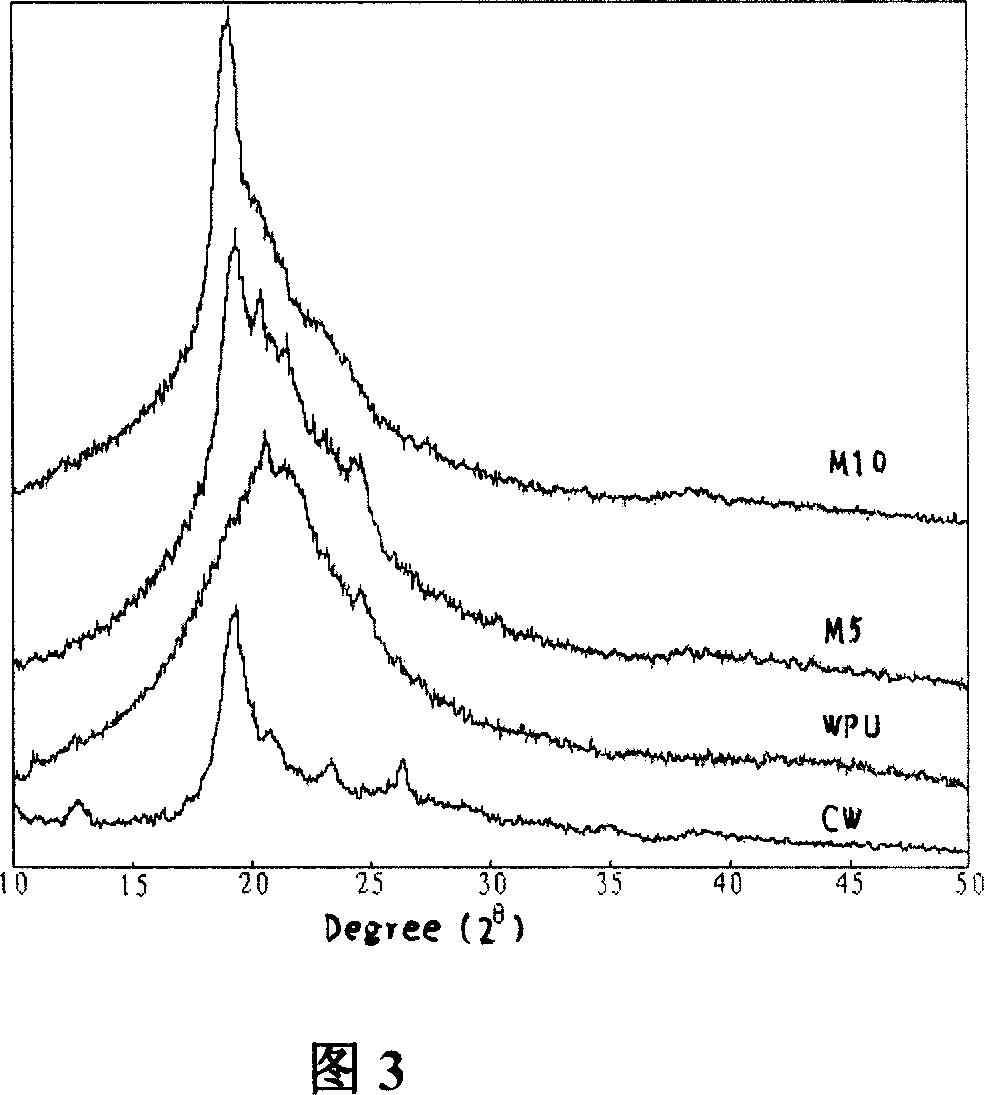 Composite elastic chitin whisker material and its prepn and use