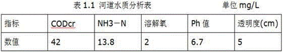 Method for treating blue-green algae