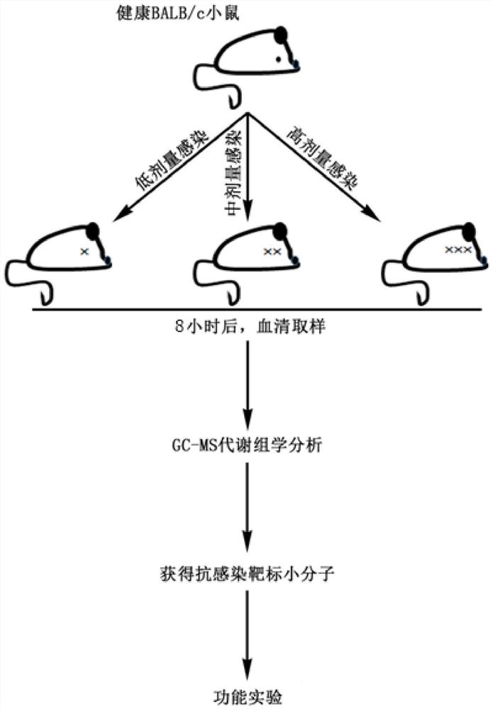 Application of small molecular compound to improvement of pathogenic bacteria clearing capacity of host and application to preparation of pathogenic bacteria infection resistant drugs