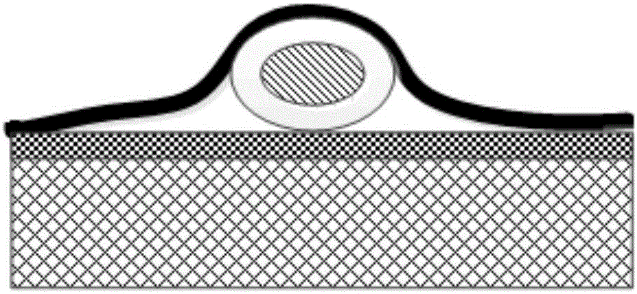 Bionic tissue based on acellular matrix-cell-three-dimensional fiber network and preparation method of bionic tissue