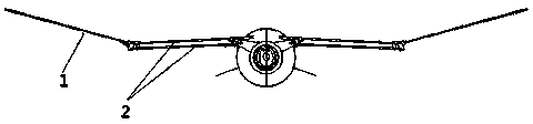 Bionic flapping wing air vehicle