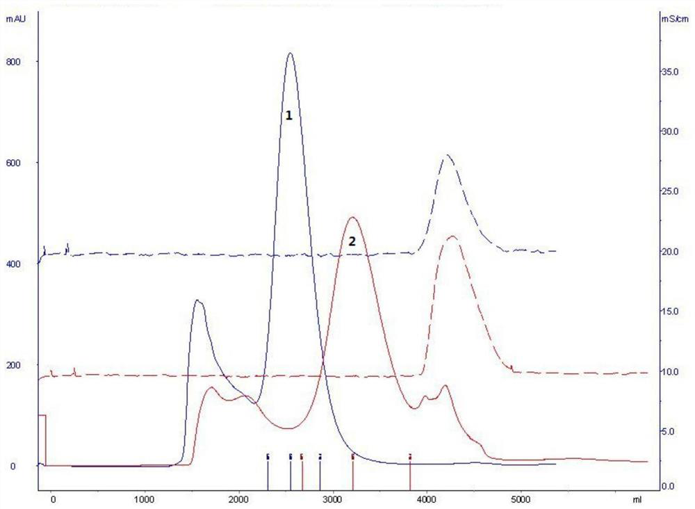 A kind of purification method of recombinant human urokinase