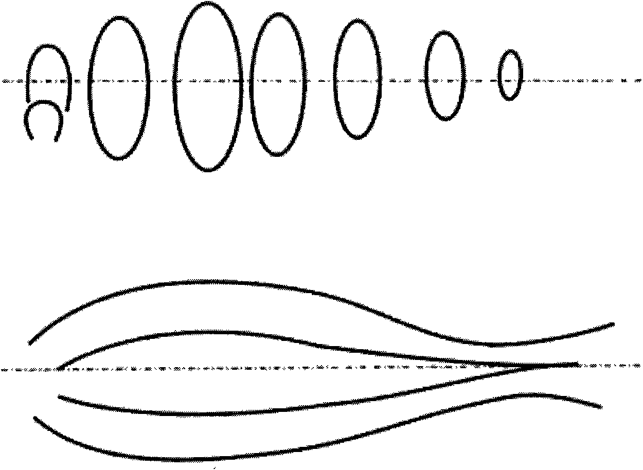 Fish model simulation process