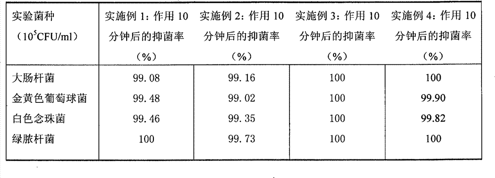 Chitosan nano silver gel agent and uses thereof