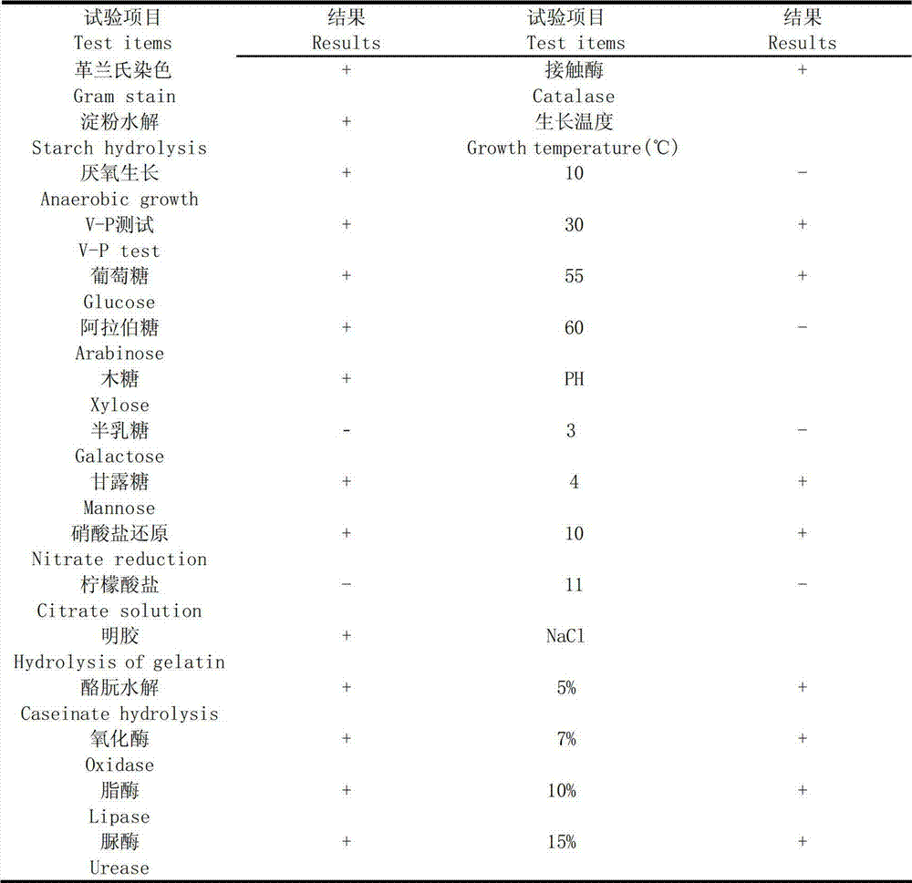 Biological agent of bacillus methylotrophicus as well as preparation method and application thereof