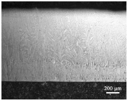 Preparation method for tungsten carbide reinforced nickel-based composite coating