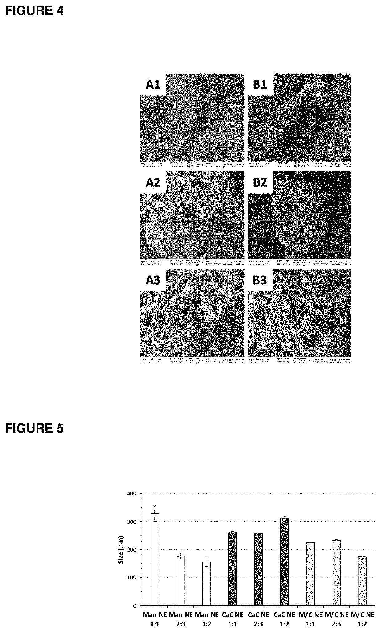 Composition and manufacturing of powders containing nanoadjuvants for mucosal vaccination