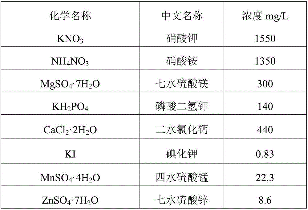 Idesia leaf tissue culture method