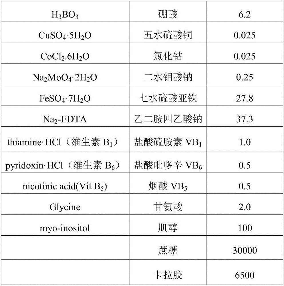 Idesia leaf tissue culture method