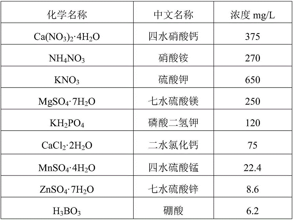 Idesia leaf tissue culture method