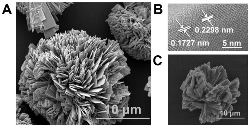 Preparation method and application of double-enzyme active antibacterial material