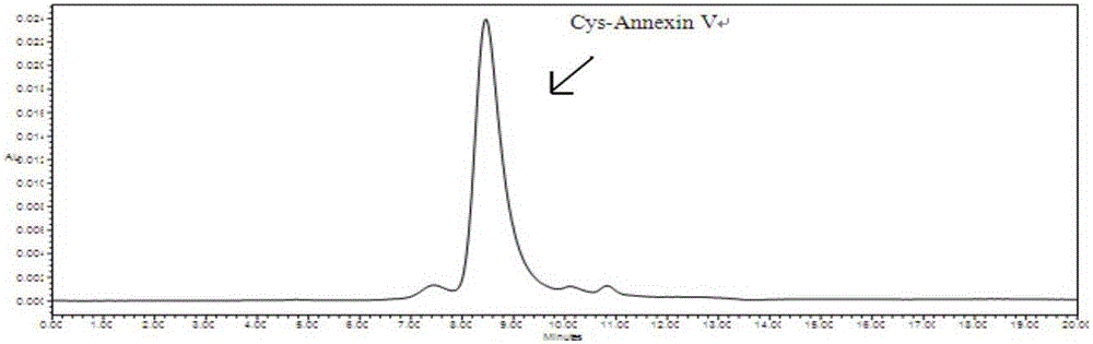 A sort of  <sup>18</sup> Method for labeling cys‑annexin V and its application