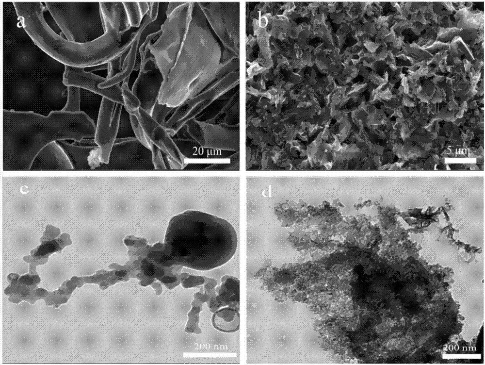 Fe-N doping porous carbon oxygen reduction catalyst