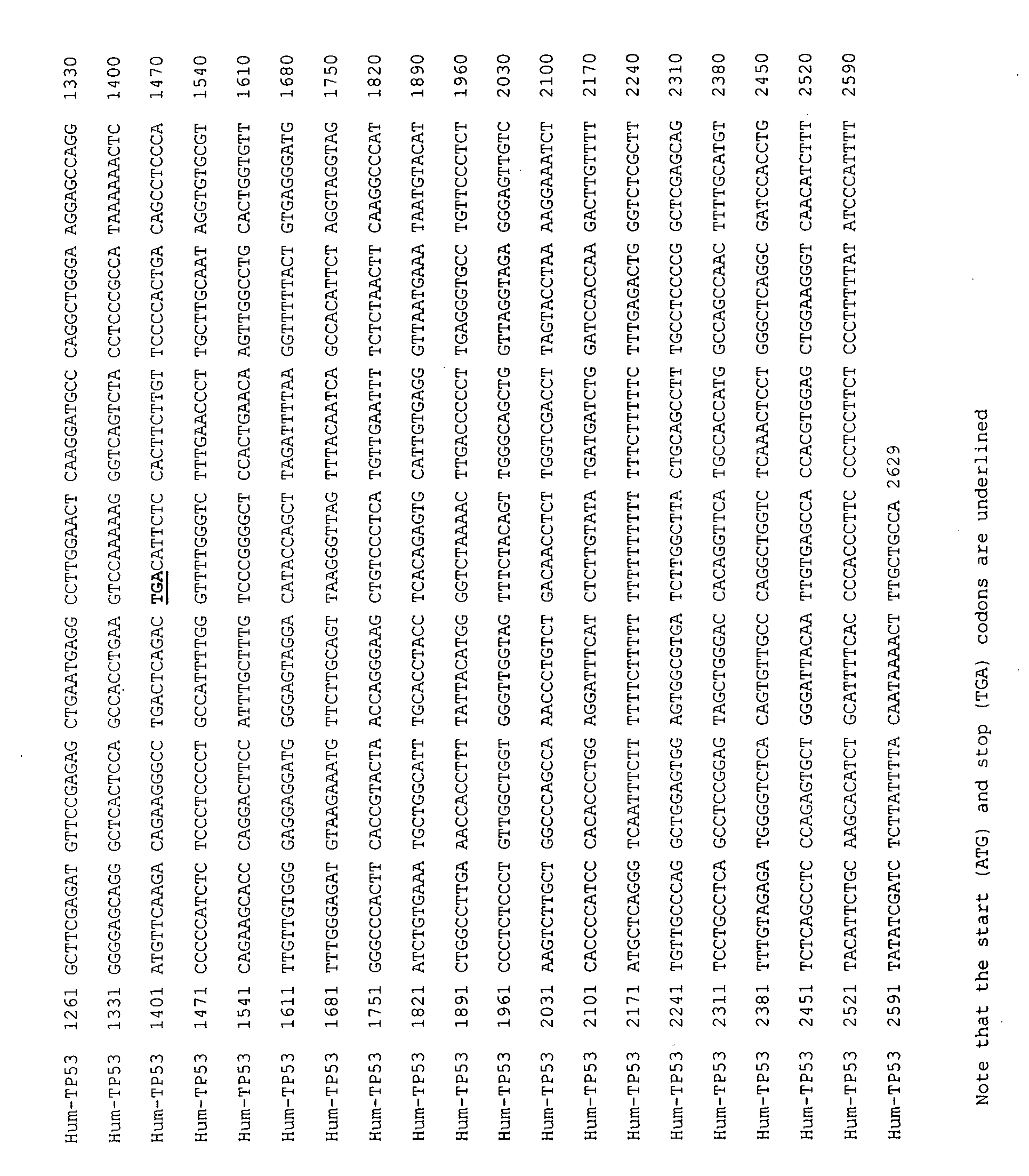 Oligoribonucleotides and methods of use thereof for treatment of alopecia, acute renal failure and other diseases