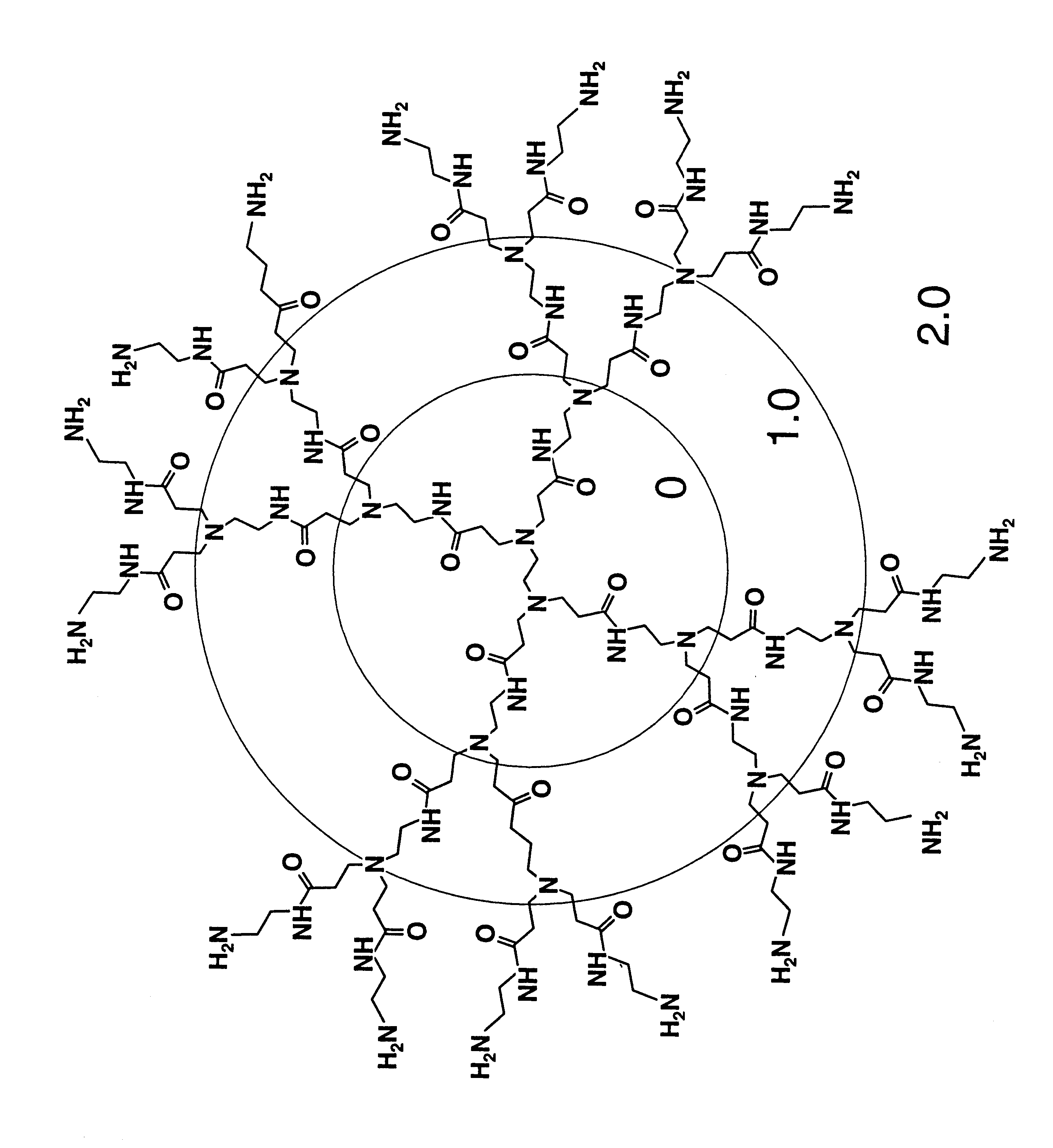 Assay for compounds which affect conformationally altered proteins