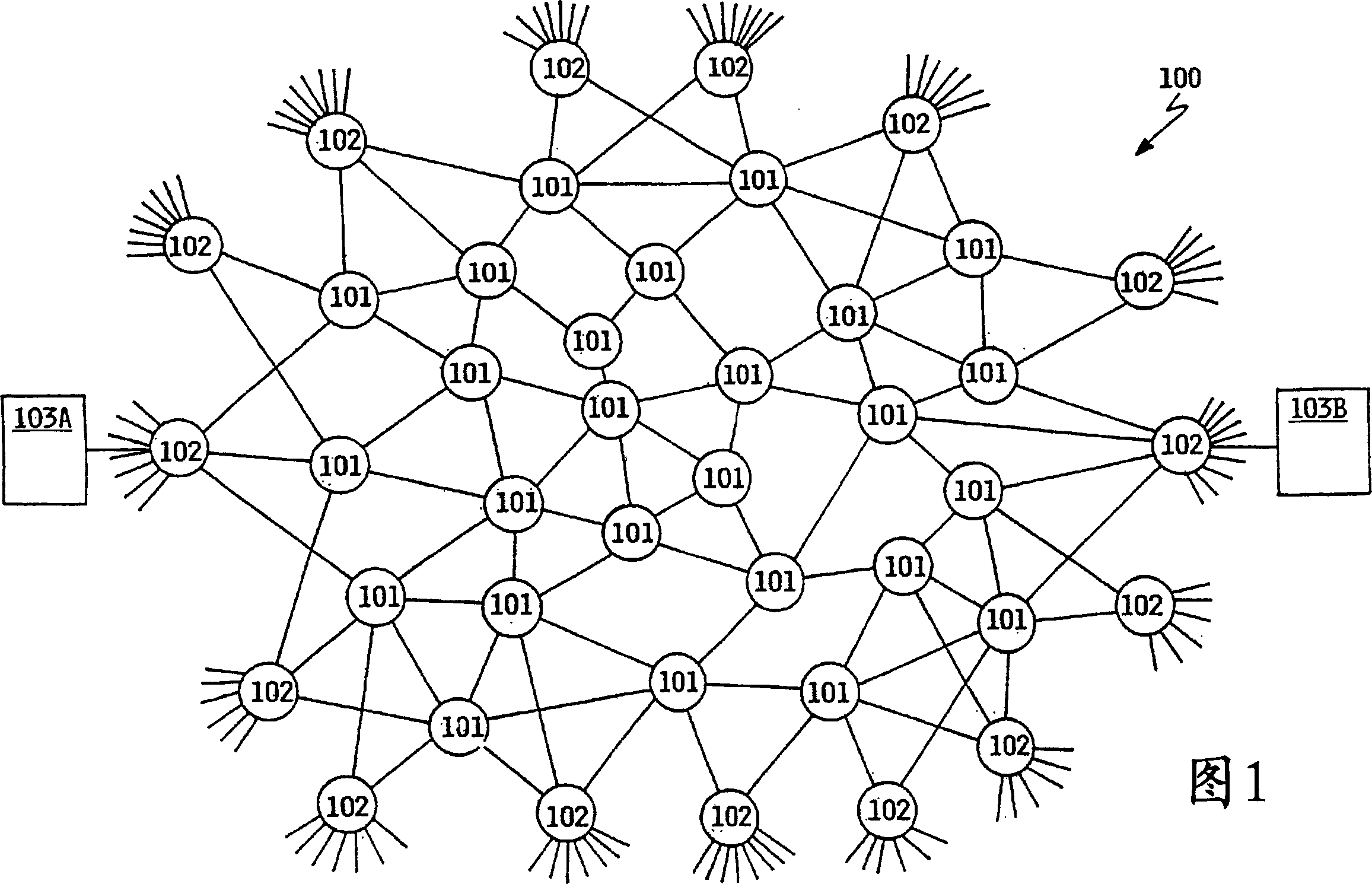 Method and device for maintaining internet field names data