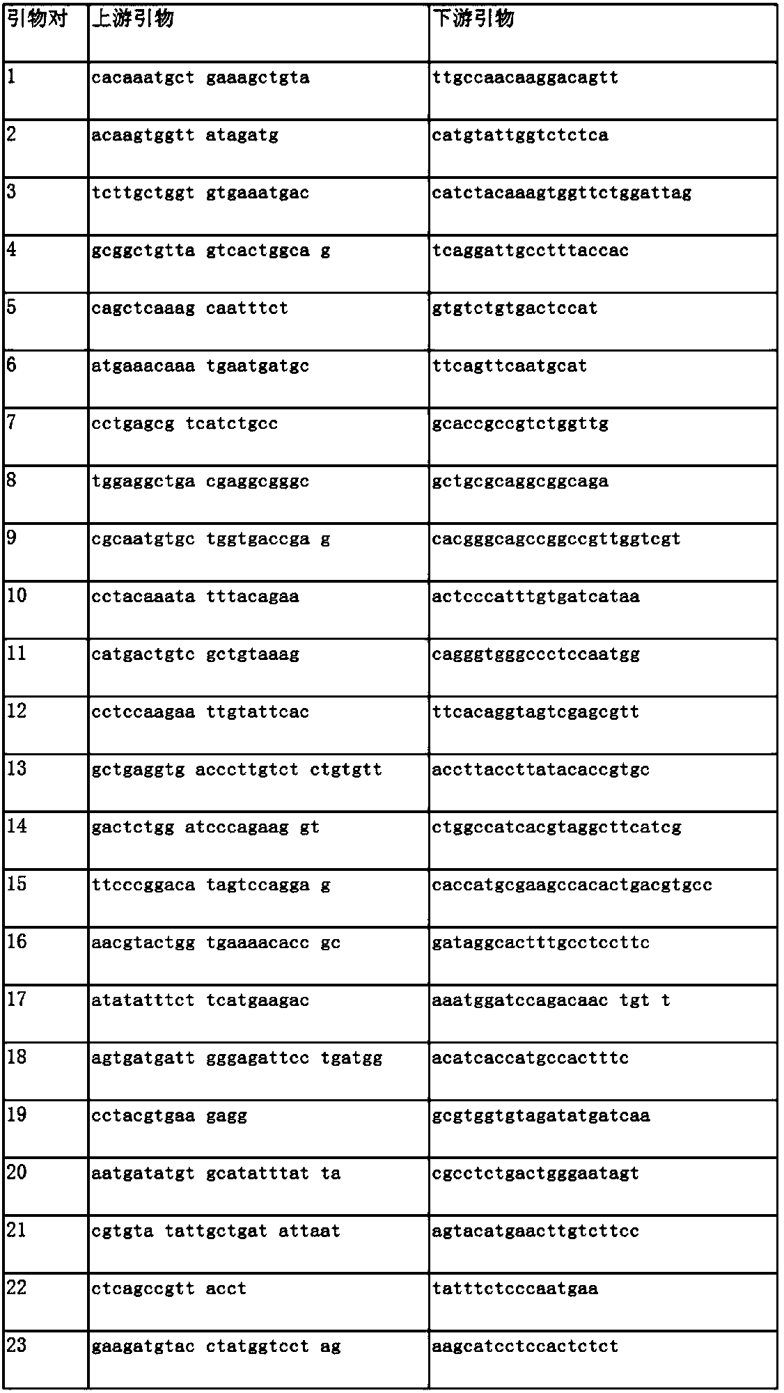 High-throughput detection method, primers and reagents for gene mutations related to tumor targeting drugs