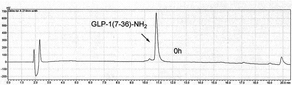 Novel long-acting glucagon-like peptide 1 (GLP-1) analogues and application thereof