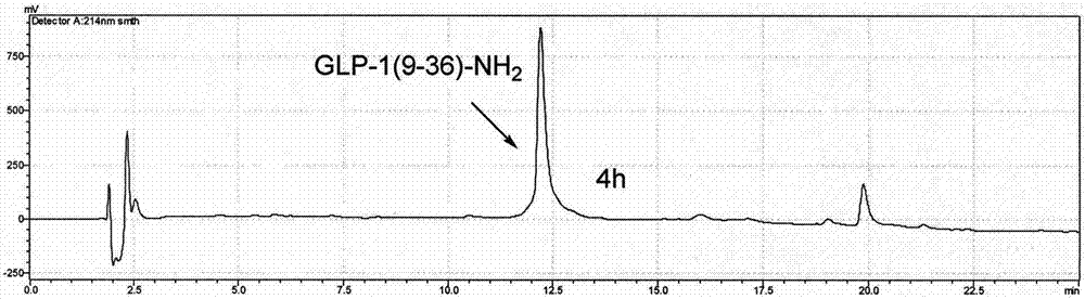 Novel long-acting glucagon-like peptide 1 (GLP-1) analogues and application thereof