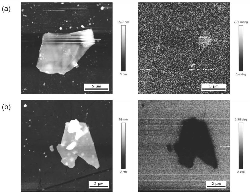 Method for regulating and controlling two-dimensional magnetic material through small molecule chemisorption