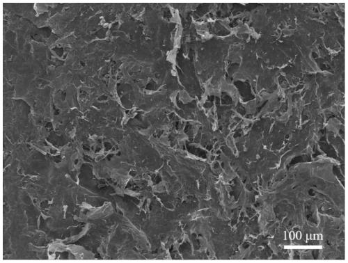 Aramid nanofiber/MXene composite conductive aerogel and preparation method thereof