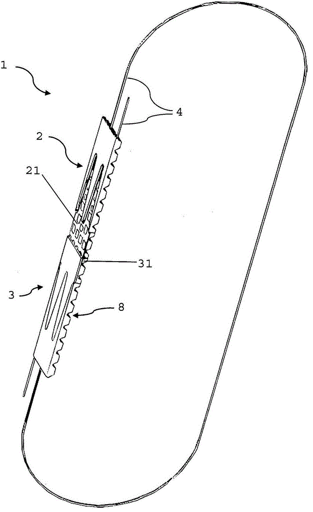 Straps with removable end connections