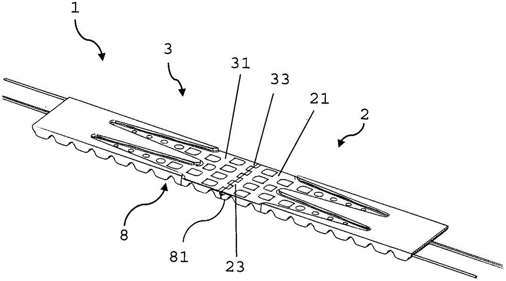 Straps with removable end connections