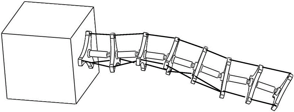 Rigid-flexible coupled trunk-shaped continuous robot