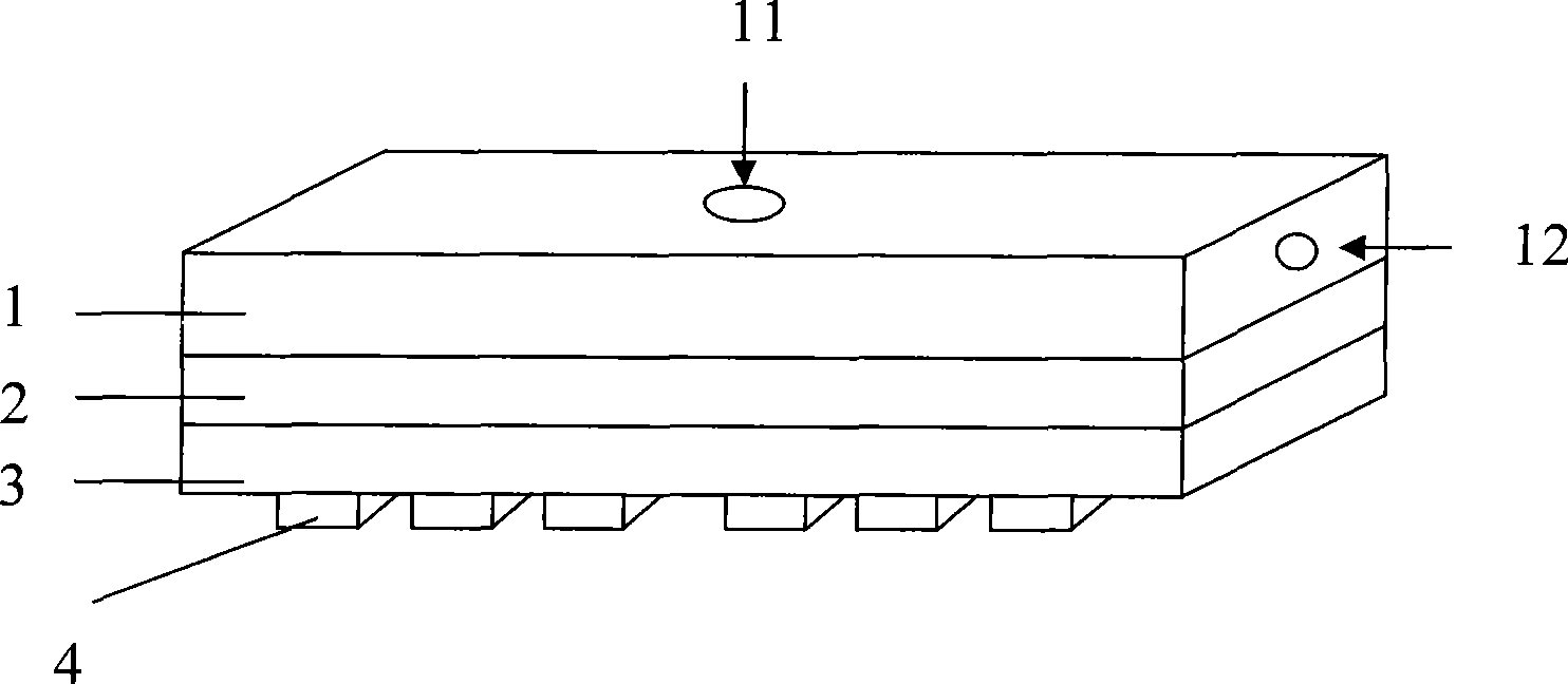 Inset tube type multi-holed jet