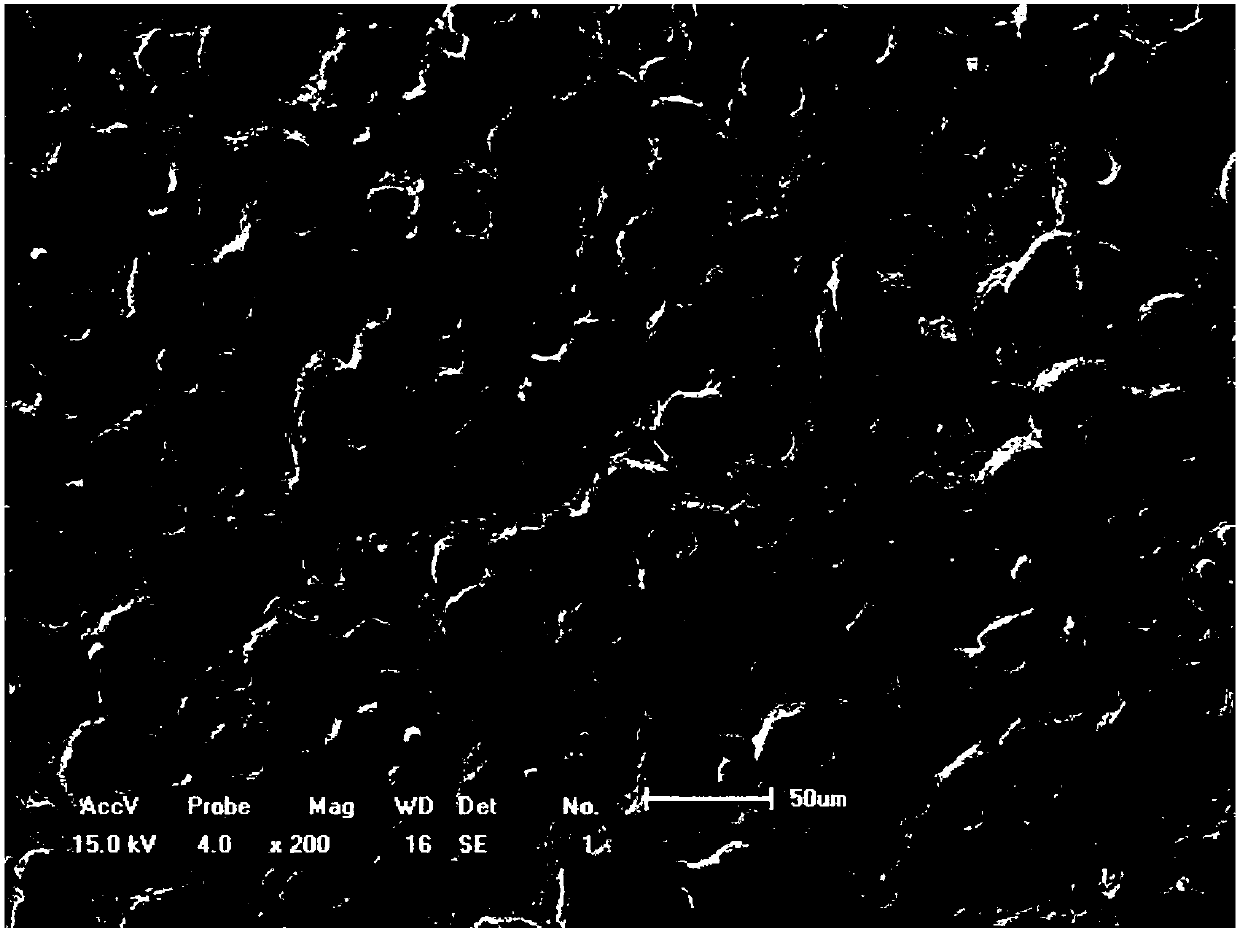 Magnesium alloy surface micro arc oxidation ceramic layer hole sealing agent and hole sealing method