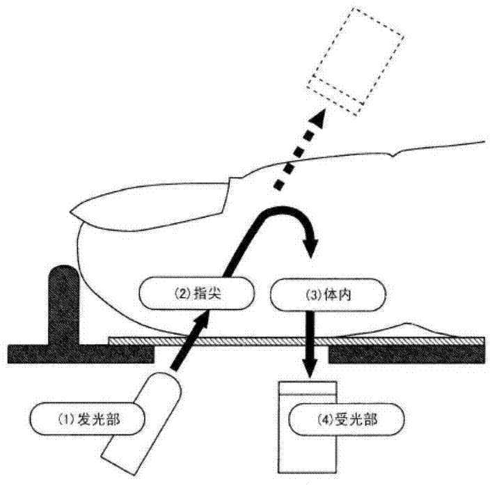 Method and device for determining input information