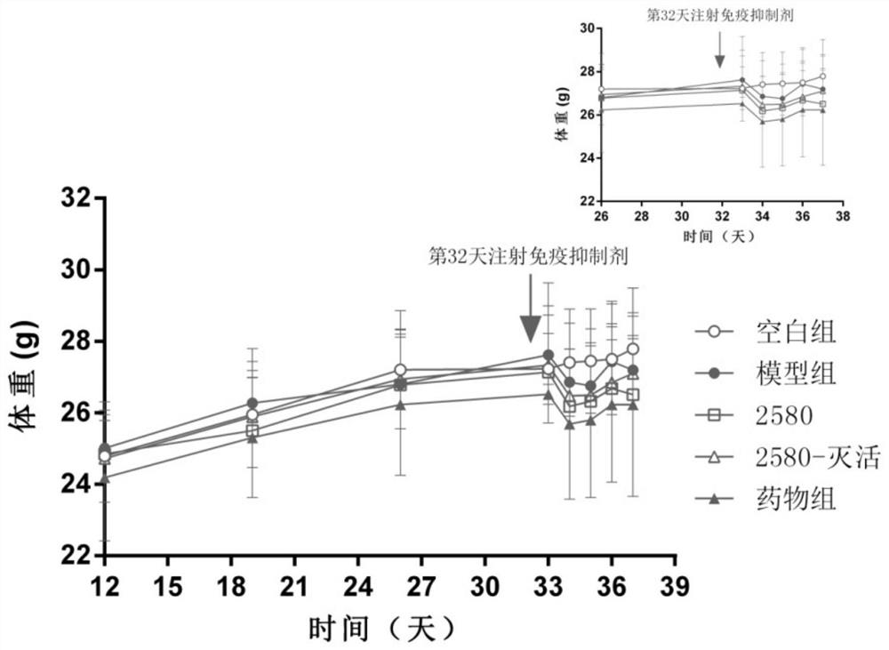 A strain of Lactobacillus helveticus with high adhesion performance and its application for enhancing immunity