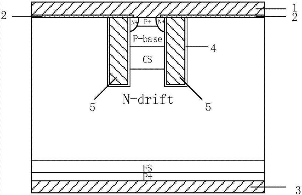 Carrier storage layer IGBT device with shielding gates