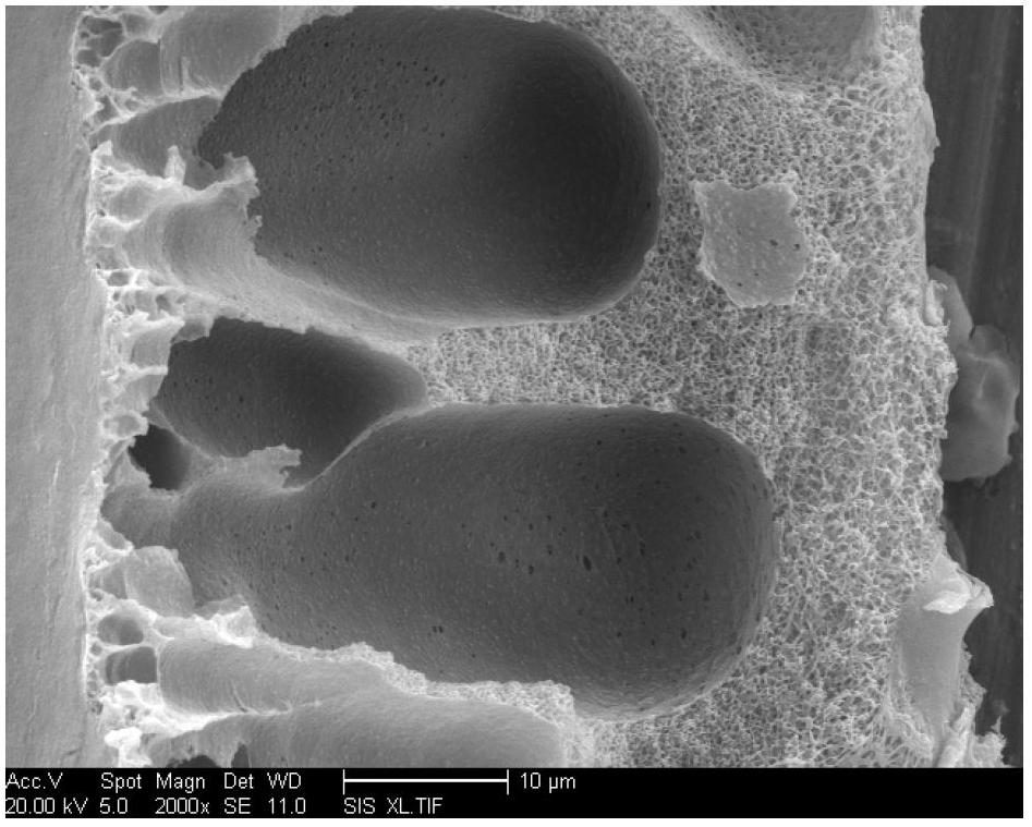 Preparation method for graphene oxide/polyvinylidene fluoride composite ultrafiltration membrane