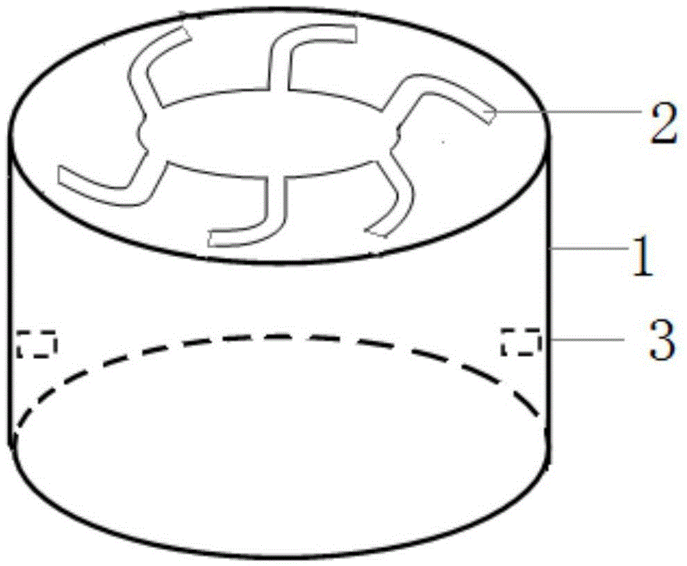 Evaporator for performing plant bionic remediation on contaminated soil