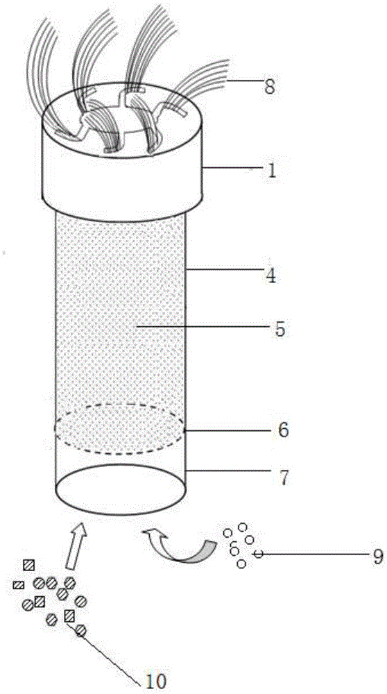 Evaporator for performing plant bionic remediation on contaminated soil