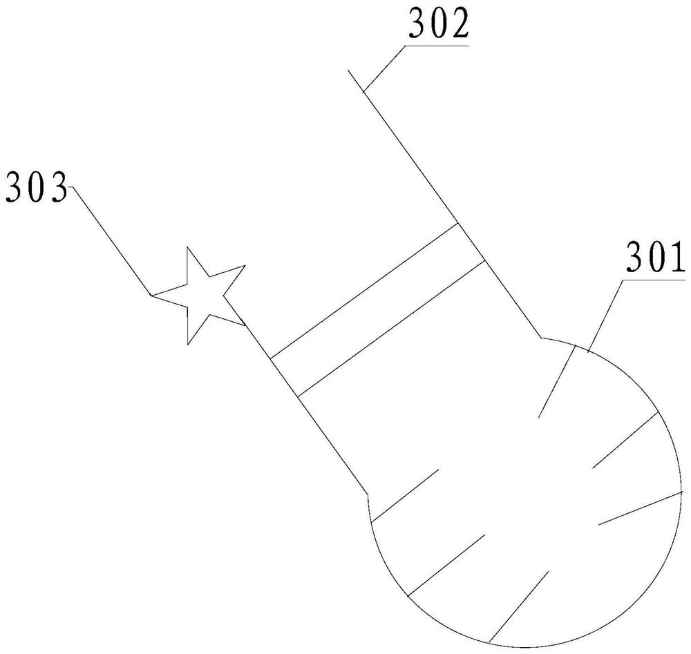 A kind of dna probe and making method