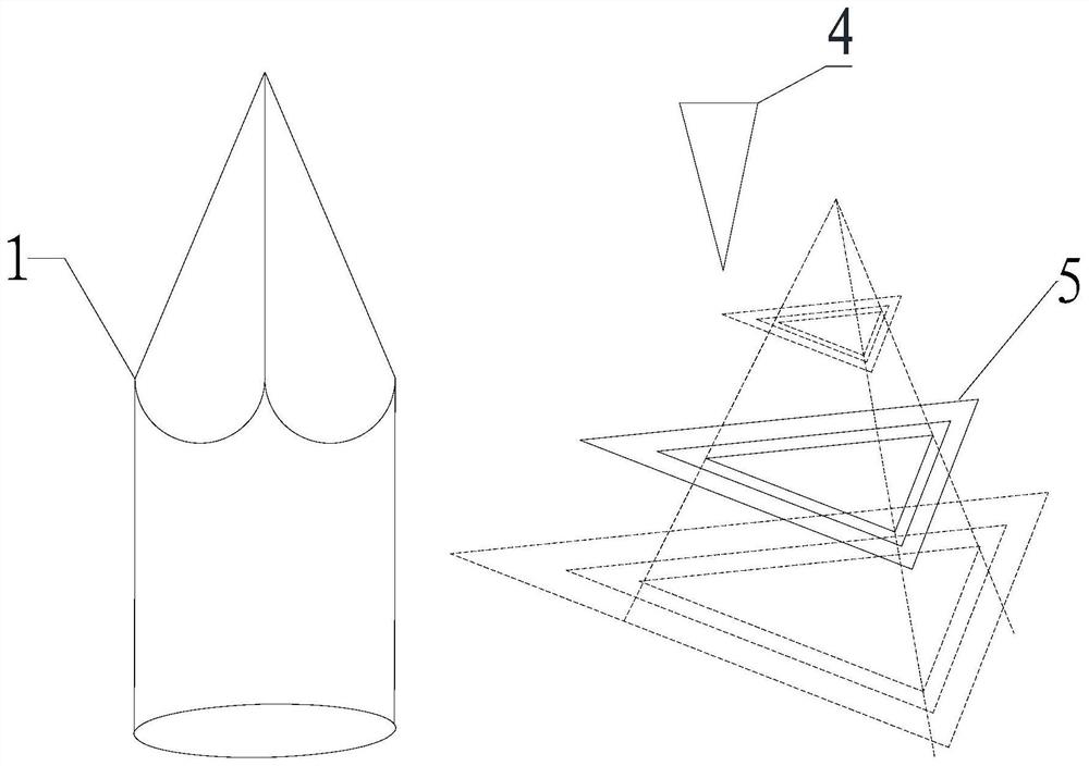 A kind of dna probe and making method