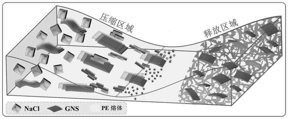 Preparation method and application of photo-thermal interface evaporation material under transient normal stress action