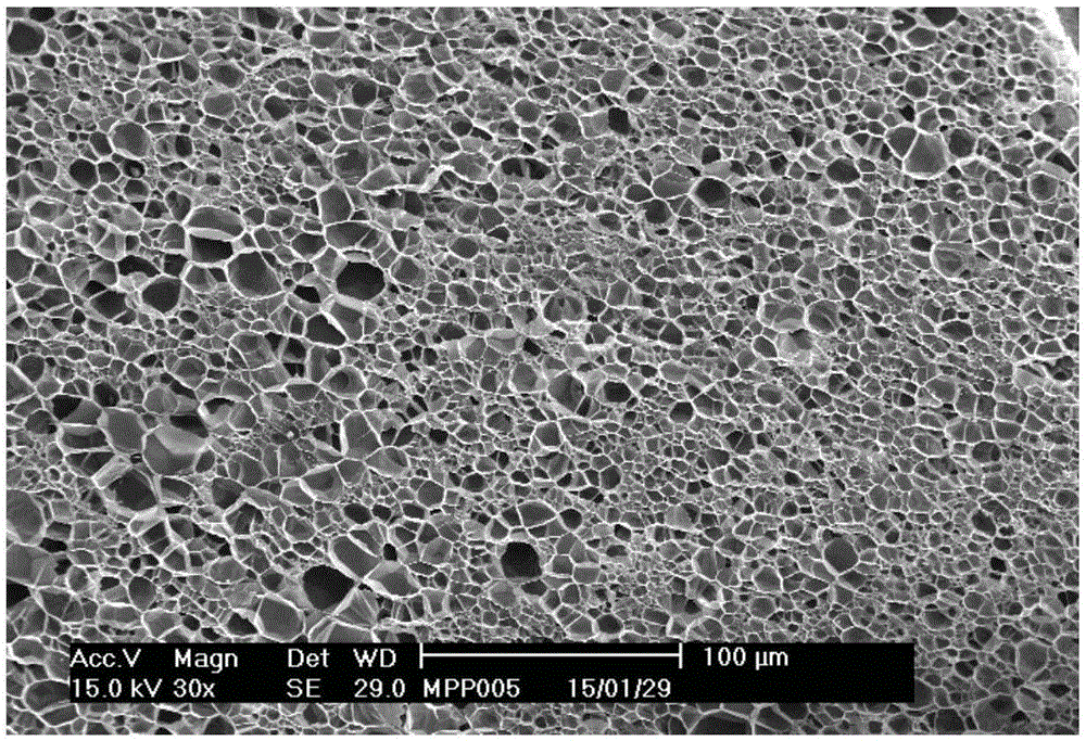 Composition for preparing polypropylene foaming material and foaming forming body prepared from same