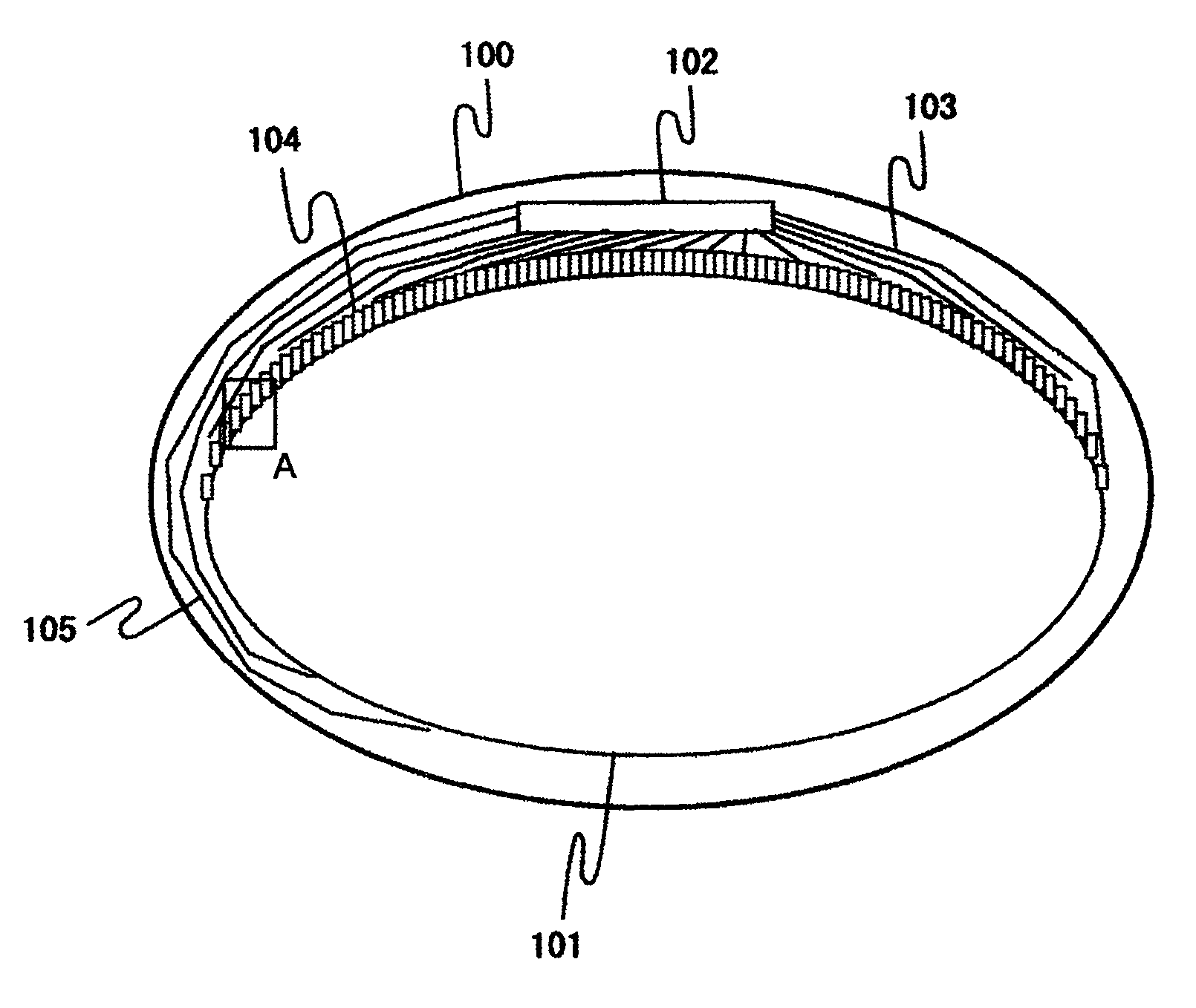 Display device having particular pixels and signal wiring internal circuits